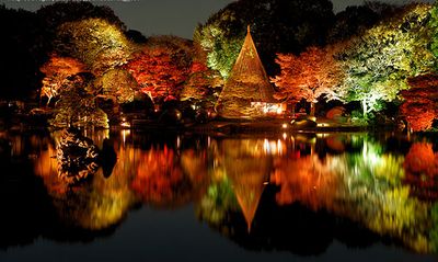 東京紅葉19 東京10大賞楓必去景點 紅葉情報