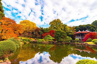 東京紅葉19 東京10大賞楓必去景點 紅葉情報