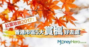 【香港紅葉攻略】香港市區5大賞楓好去處 2017
