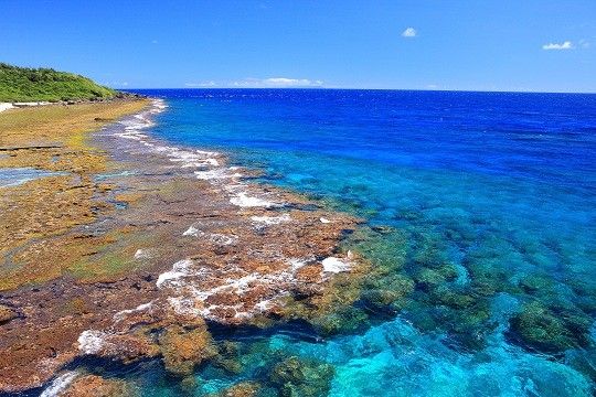 台灣綠島-潛水