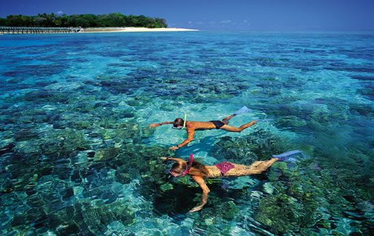 澳洲-大堡礁-潛水
