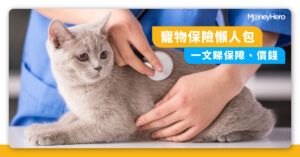 寵物保險邊間好？2022最新香港寵物保險比較：保障／保費比較全攻略