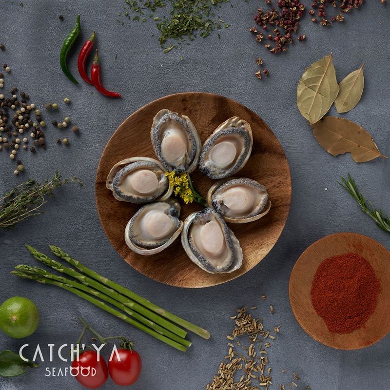 小貓釣魚