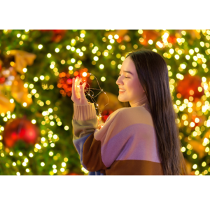 Winter Wonderland 冰雪奇幻國度